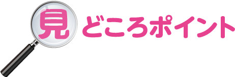 見どころポイント